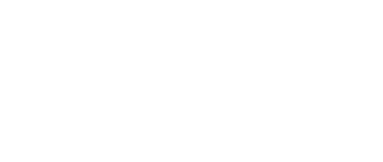 Flavio Brandao